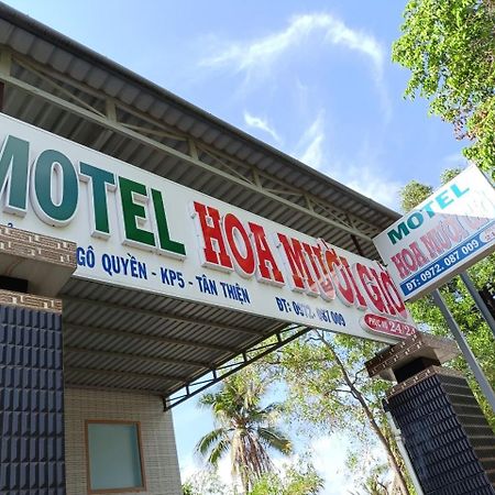 فندق Nha Nghi Hoa Muoi Gio Tan Tao المظهر الخارجي الصورة
